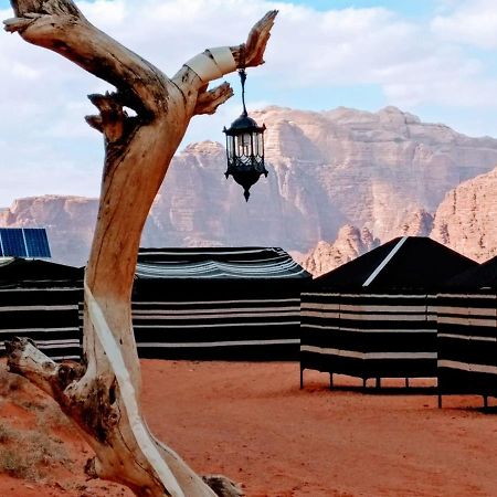 Desert Tree Camp&Tours Ram Vadisi Dış mekan fotoğraf
