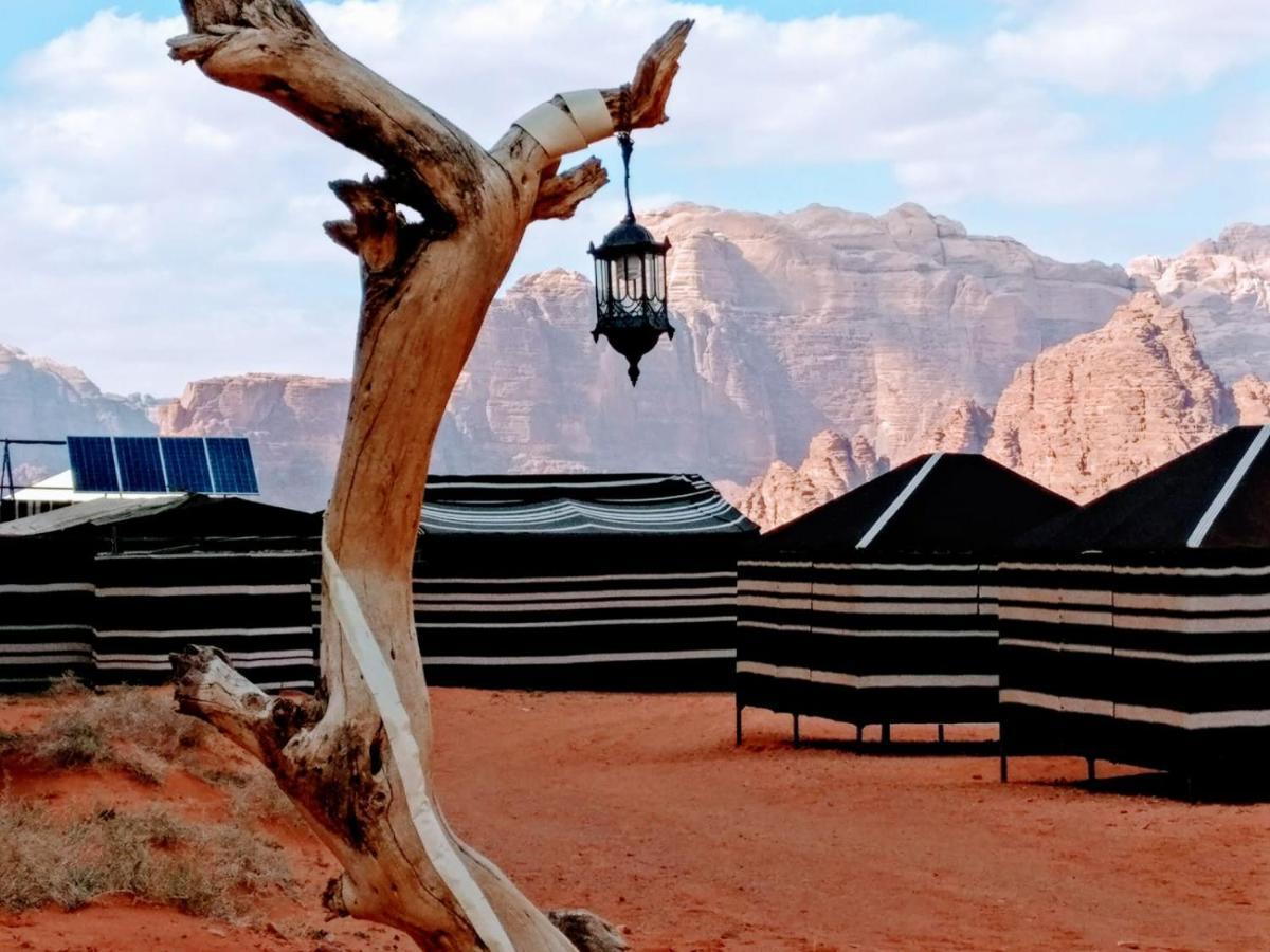 Desert Tree Camp&Tours Ram Vadisi Dış mekan fotoğraf