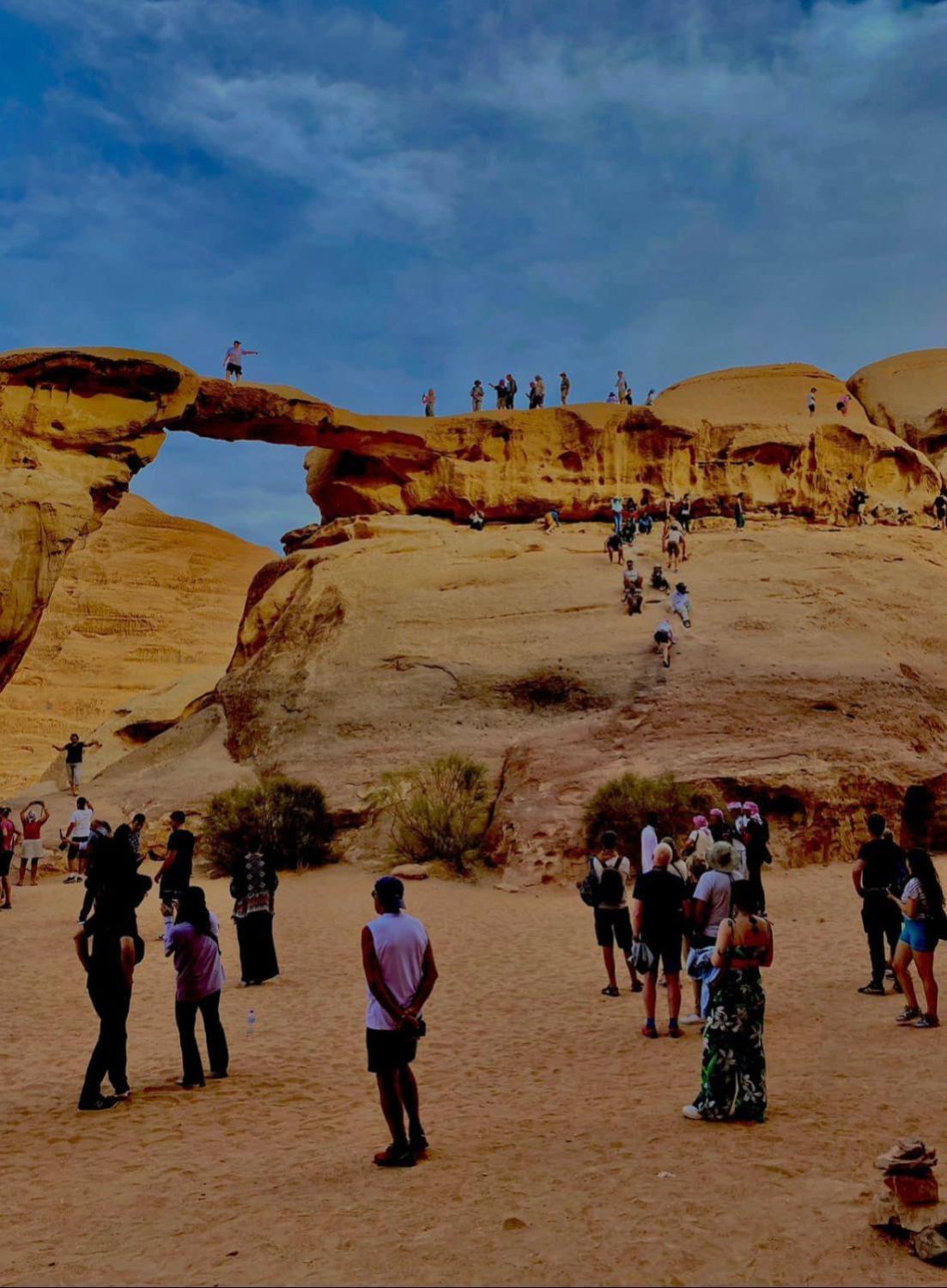 Desert Tree Camp&Tours Ram Vadisi Dış mekan fotoğraf