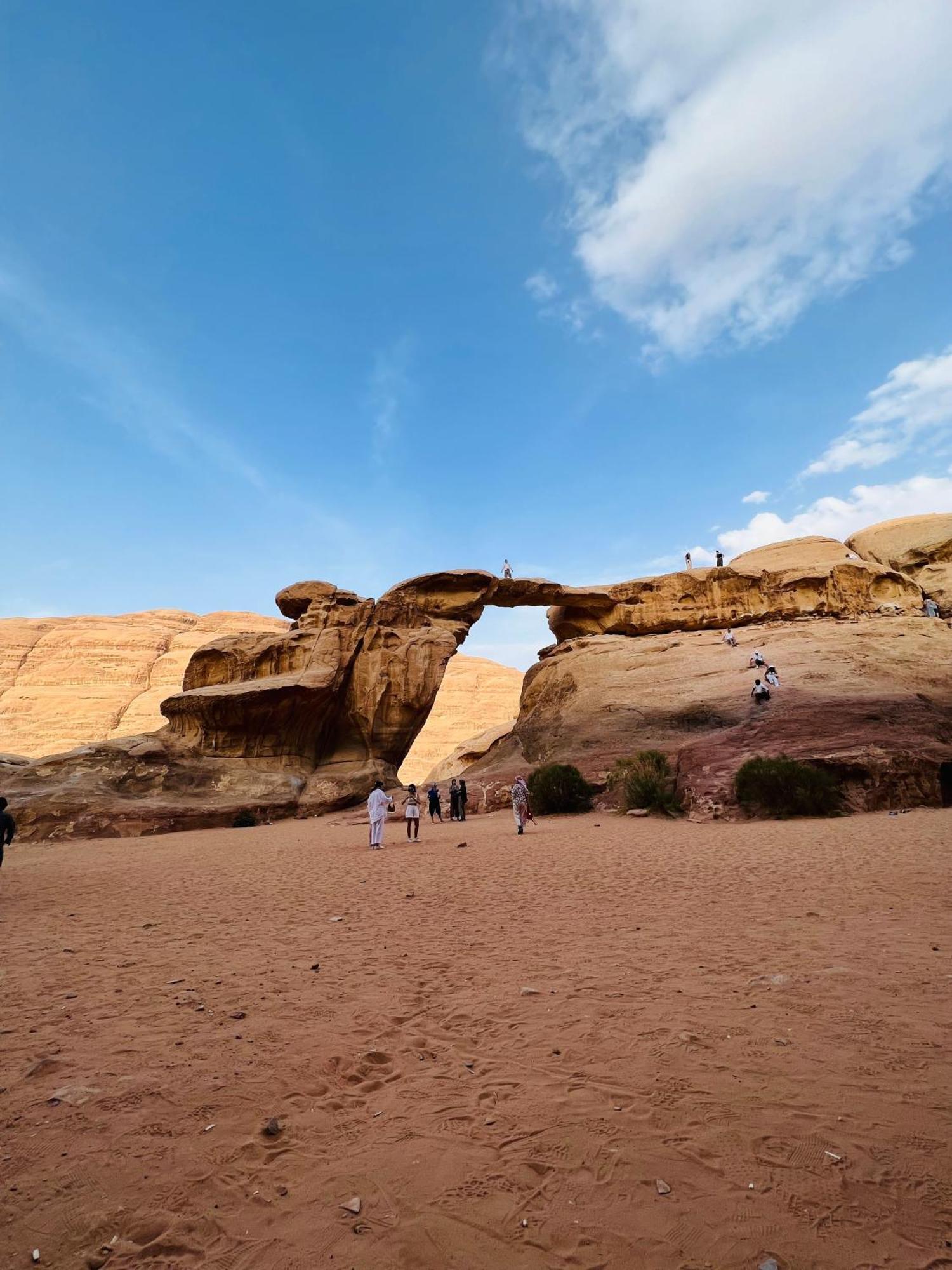 Desert Tree Camp&Tours Ram Vadisi Dış mekan fotoğraf